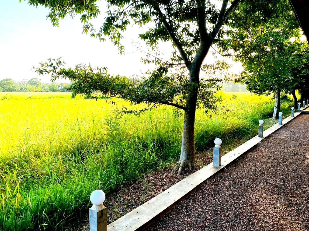 Athyantha Resort Anurâdhapura Extérieur photo